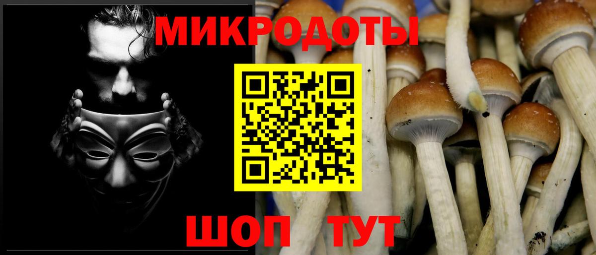 Галлюциногенные грибы GOLDEN TEACHER Волгоград
