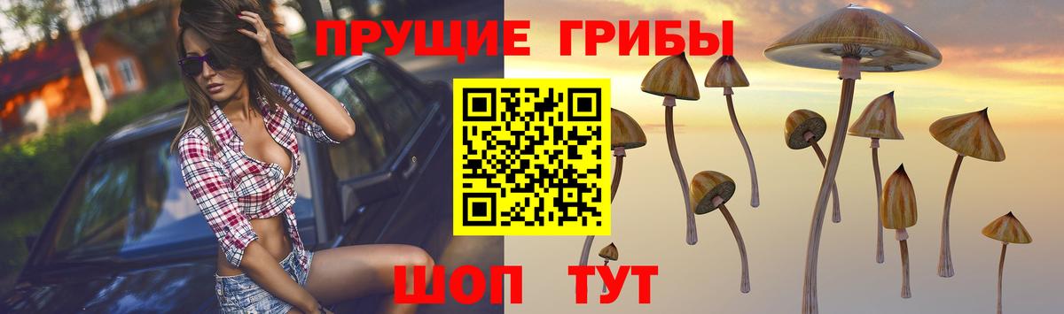 как найти   Псилоцибиновые грибы Psilocybine cubensis  Вход с VPN  Волгоград 